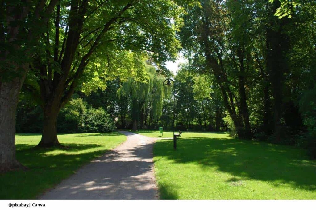 ¿Por qué el Parque Simón Bolívar no tiene canchas de baloncesto? 3 instalaciones deportivas parque simón bolívar