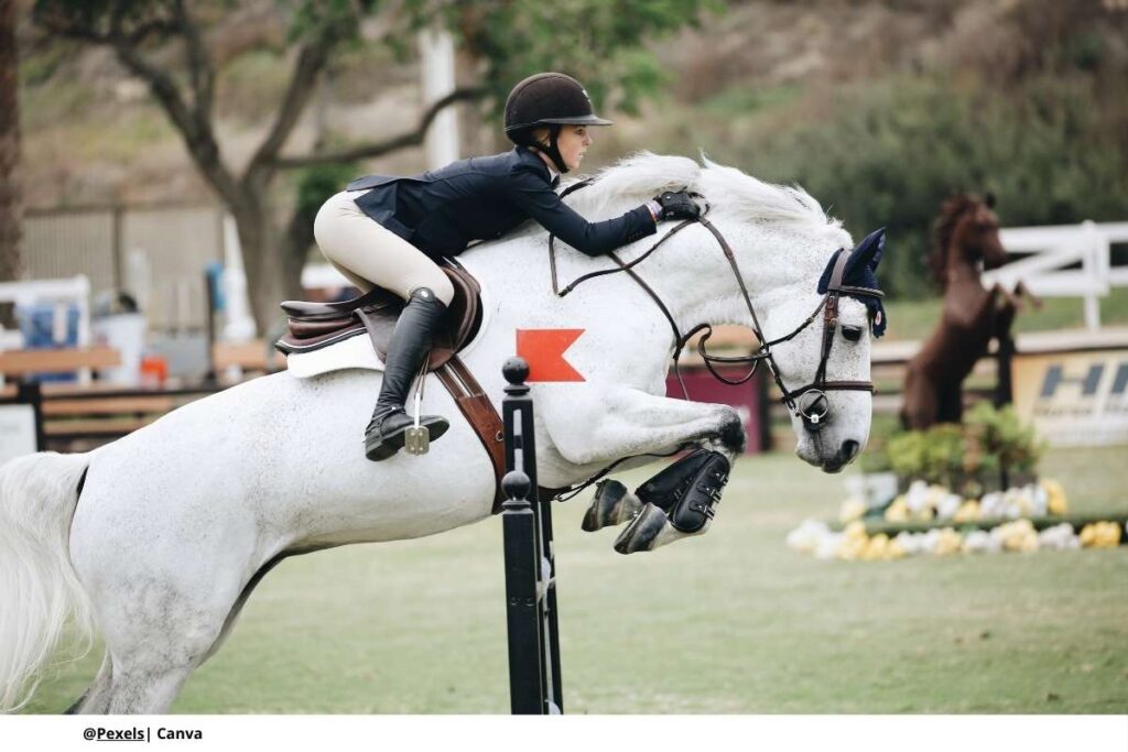 equitacion-salto-de-obstaculos