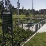 Parque Lineal Ambiental, readecuación del Parque Lineal Ambiental, Más Deportes