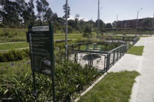 Parque Lineal Ambiental, readecuación del Parque Lineal Ambiental, Más Deportes